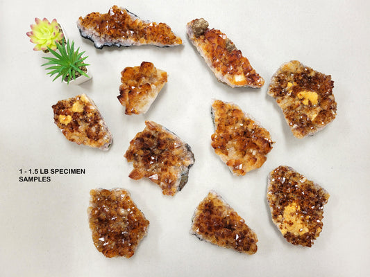 Citrine Crystal Clusters - Citrine Druzy Druze Geode