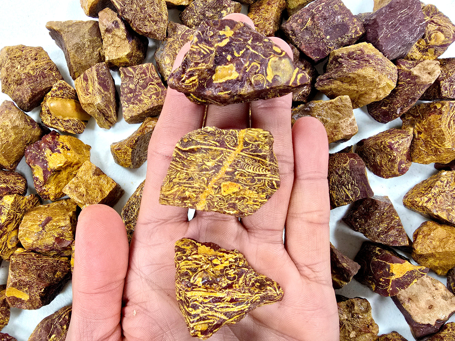 Sea Fossil Jasper AKA Calligraphy Stone Bulk