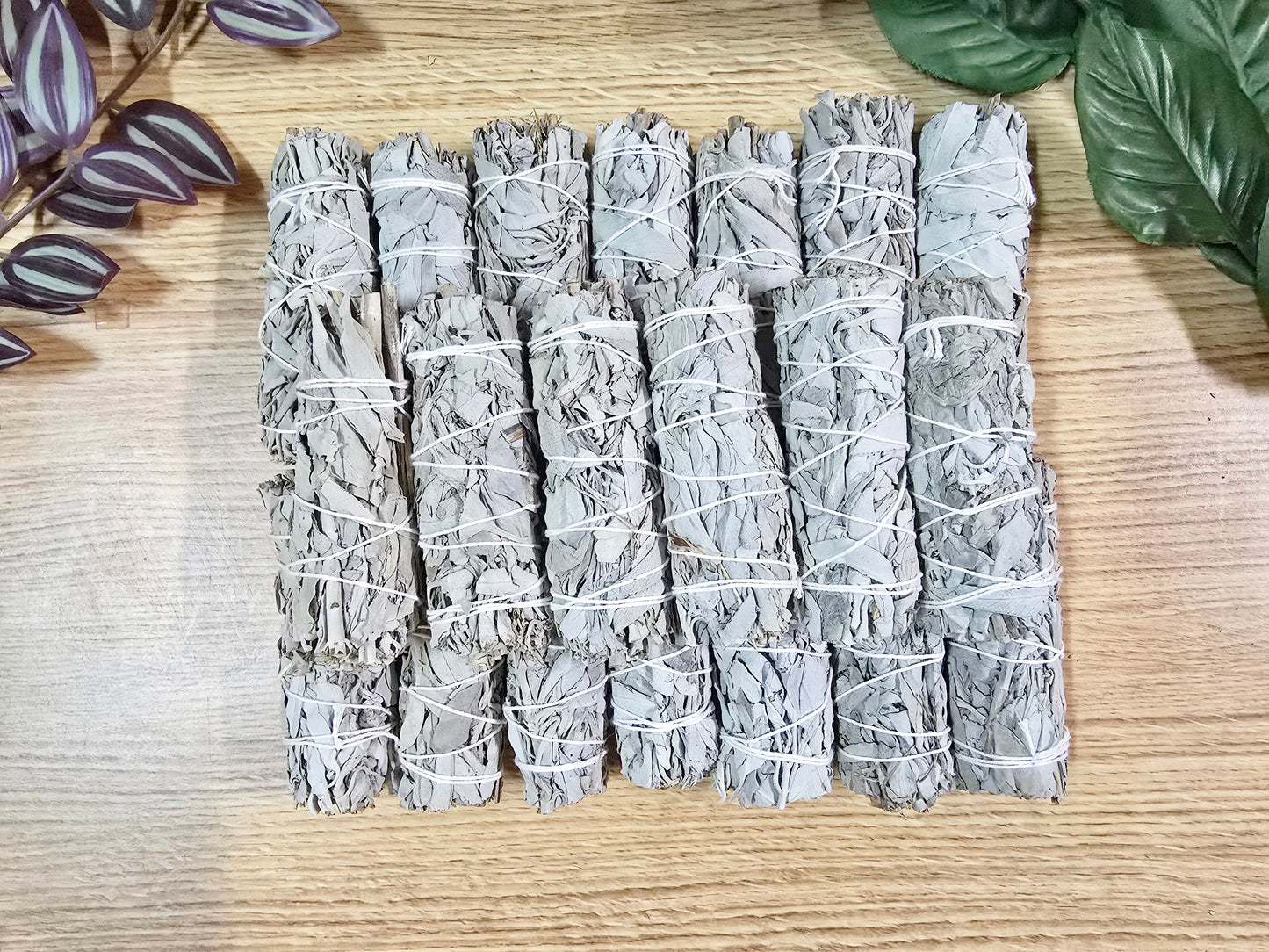 California White Sage 4 inch Stick