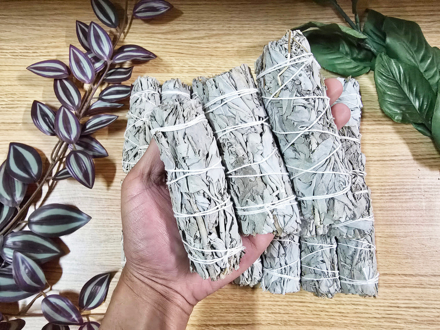 California White Sage 4 inch Stick