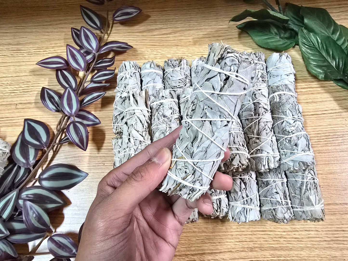 California White Sage 4 inch Stick