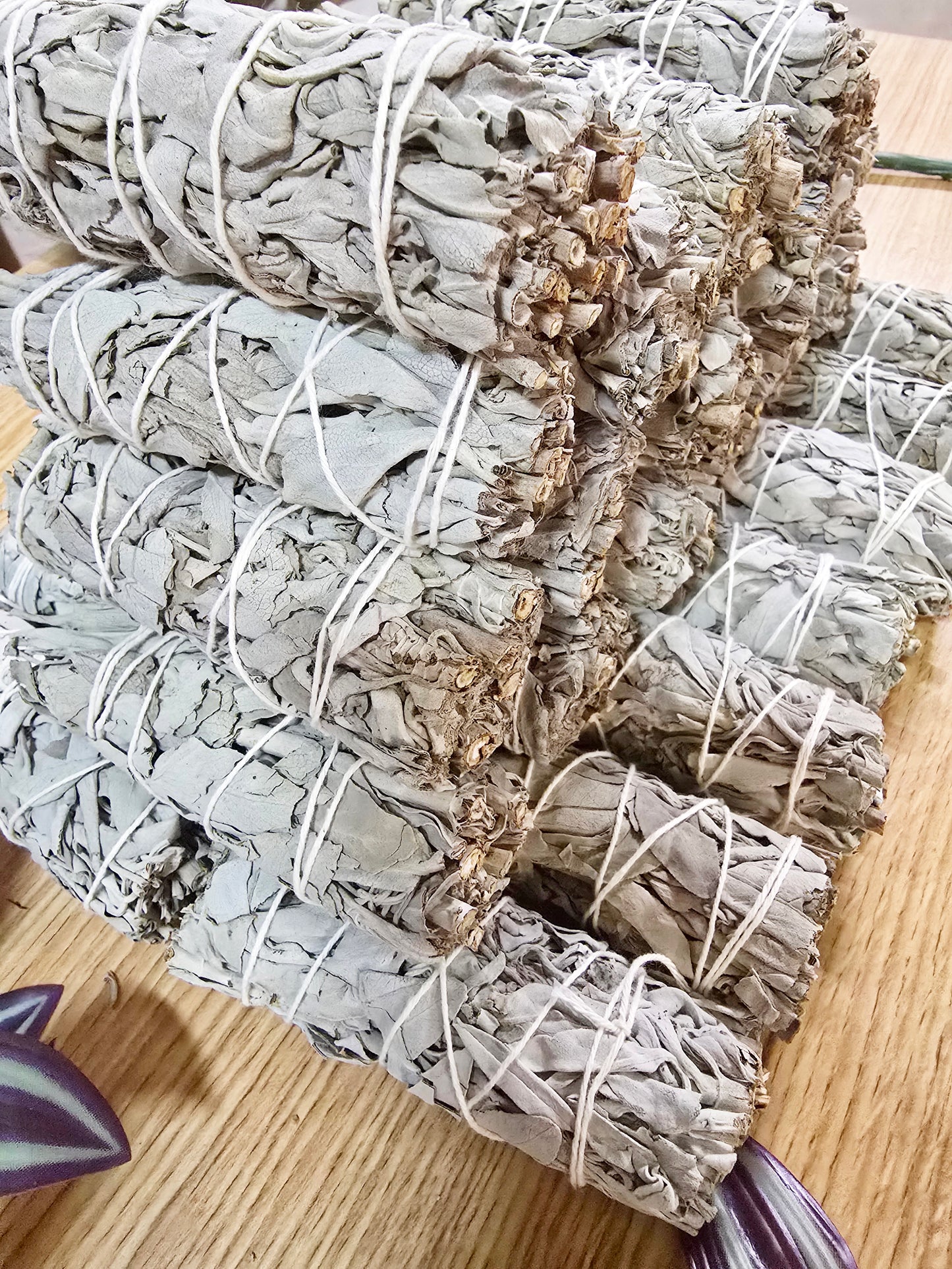 California White Sage 4 inch Stick