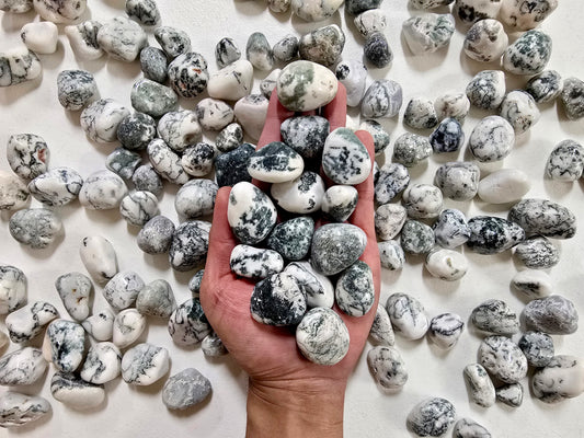 Tumbled Tree Agate Crystal Stones Bulk