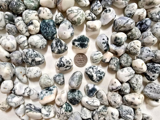 Tumbled Tree Agate Crystal Stones Bulk