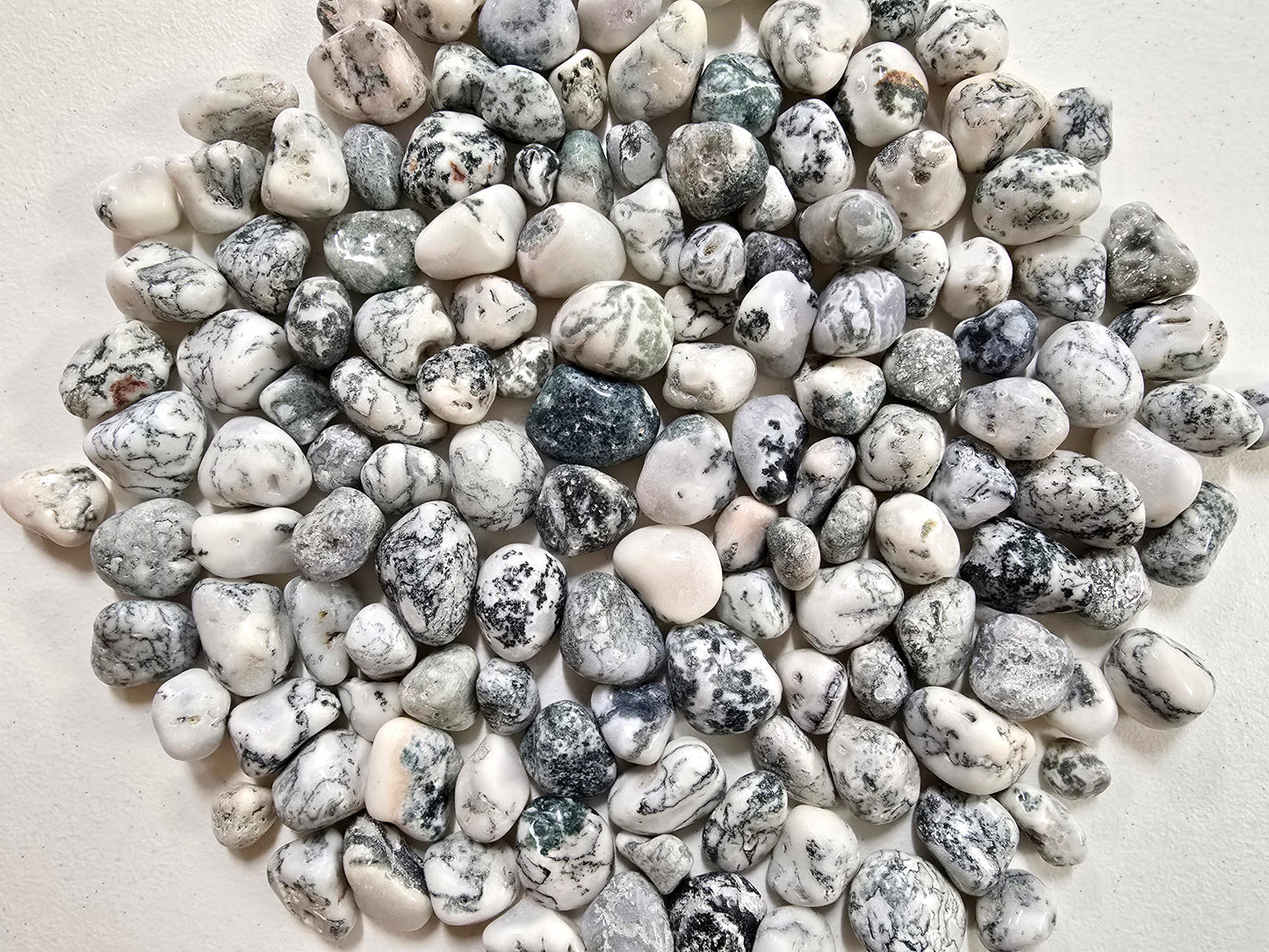 Tumbled Tree Agate Crystal Stones Bulk
