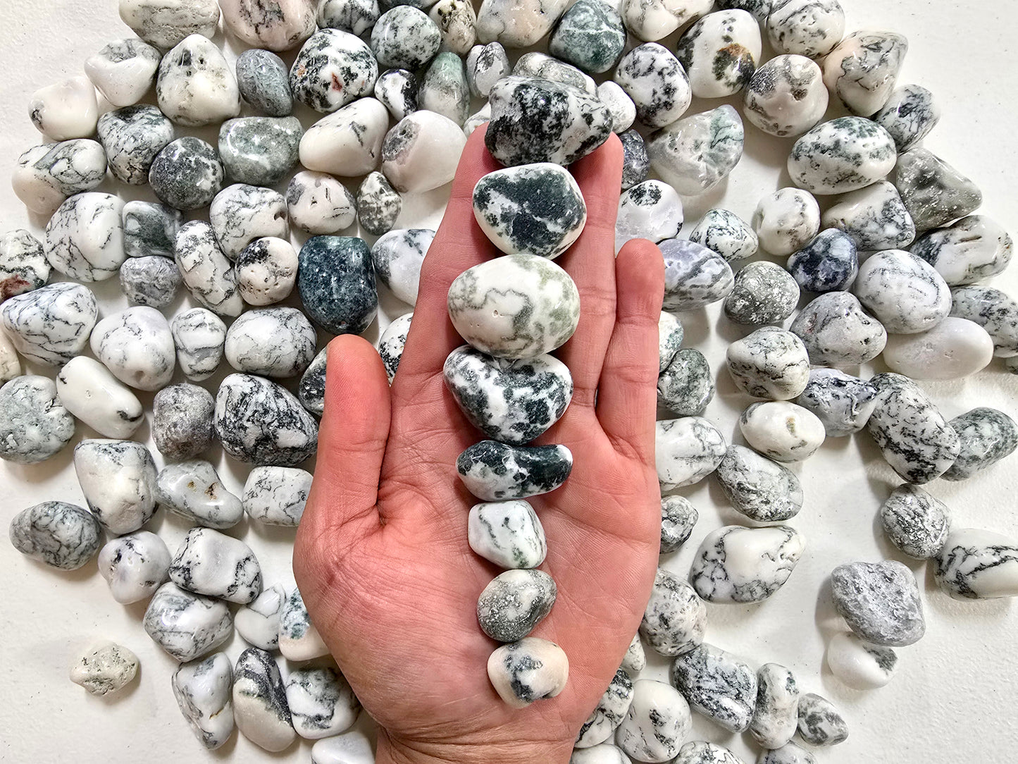 Tumbled Tree Agate Crystal Stones Bulk
