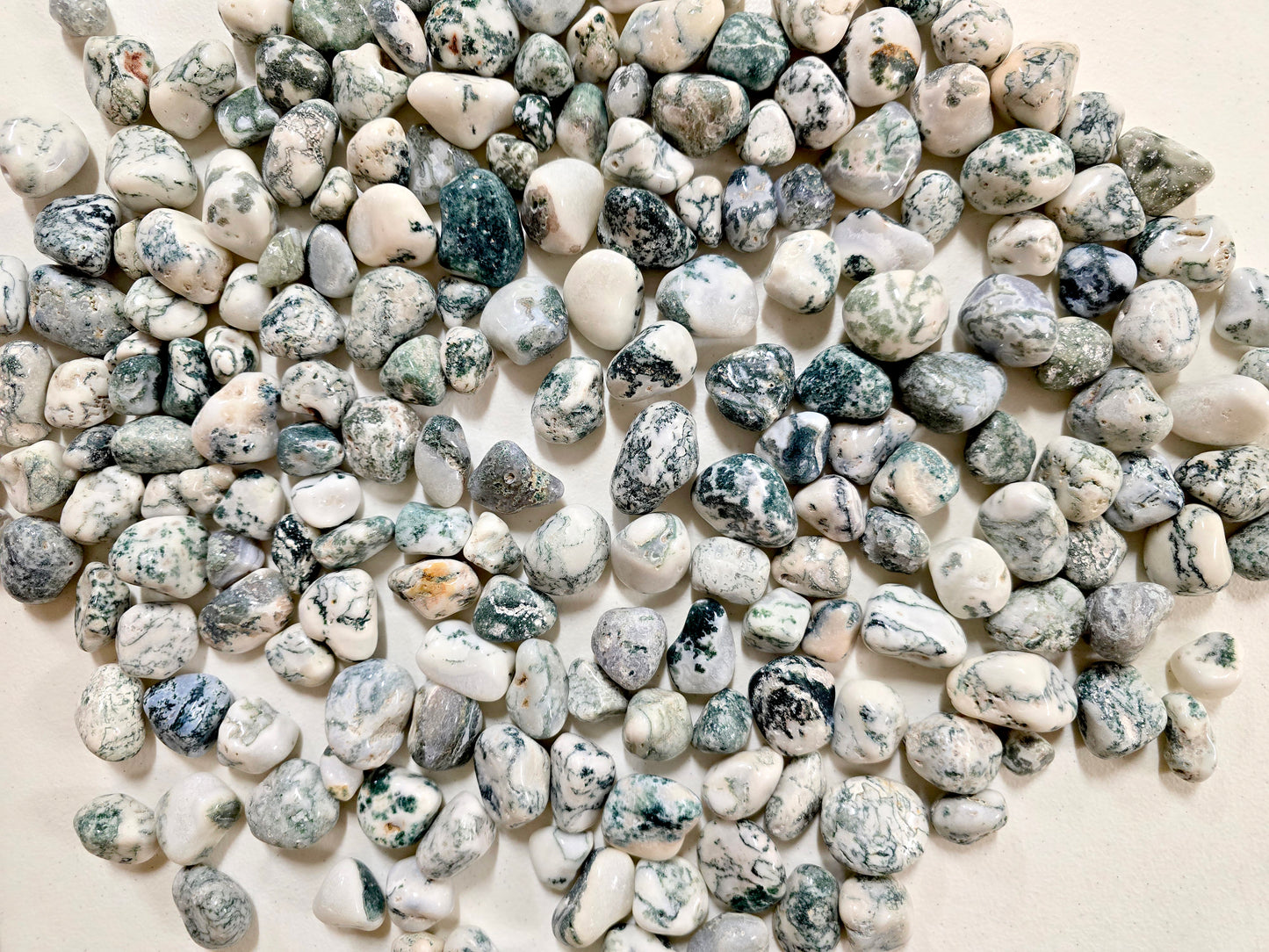 Tumbled Tree Agate Crystal Stones Bulk