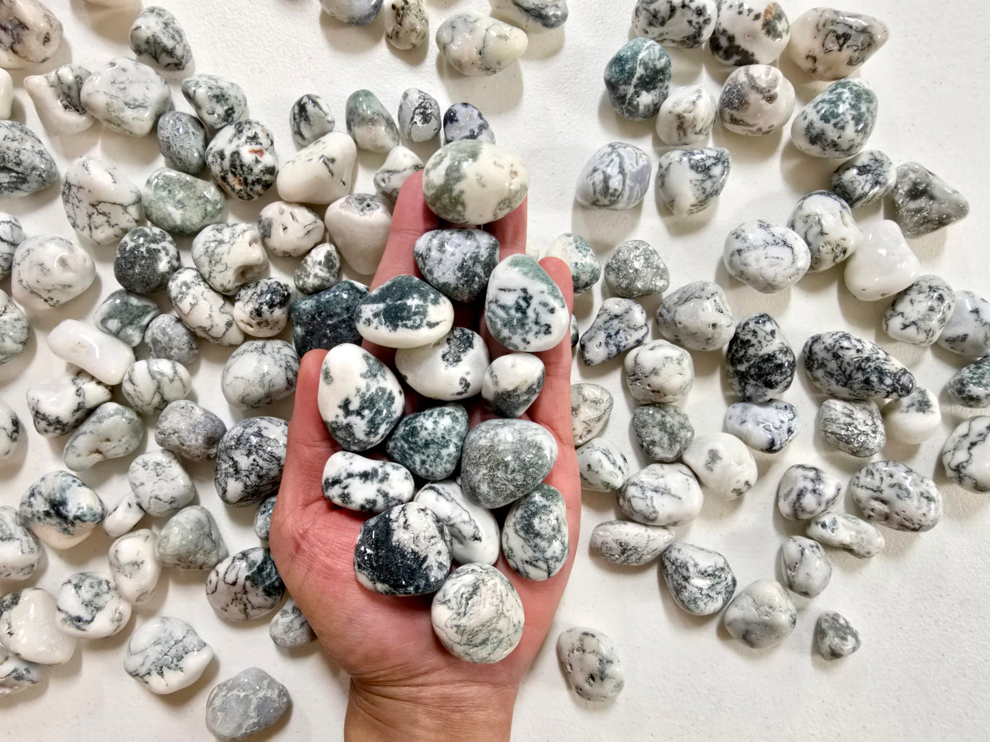 Tumbled Tree Agate Crystal Stones Bulk
