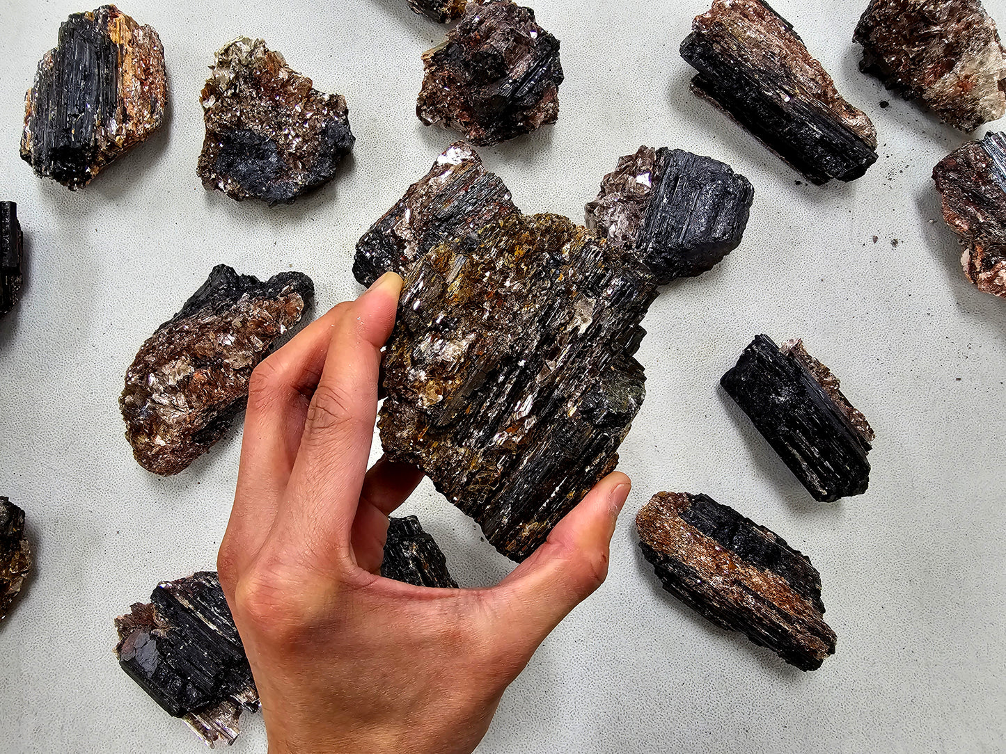Black Tourmaline Crystal with Mica Inclusions
