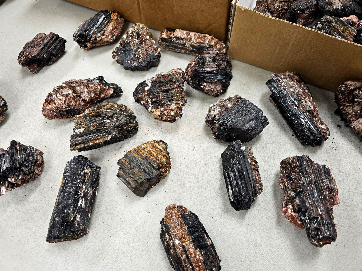 Black Tourmaline Crystal with Mica Inclusions