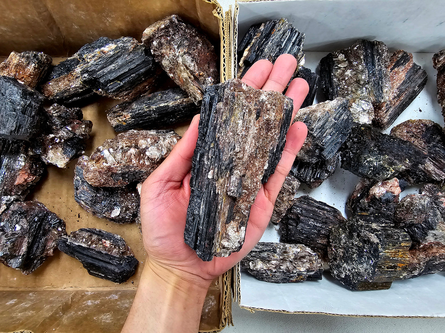 Black Tourmaline Crystal with Mica Inclusions