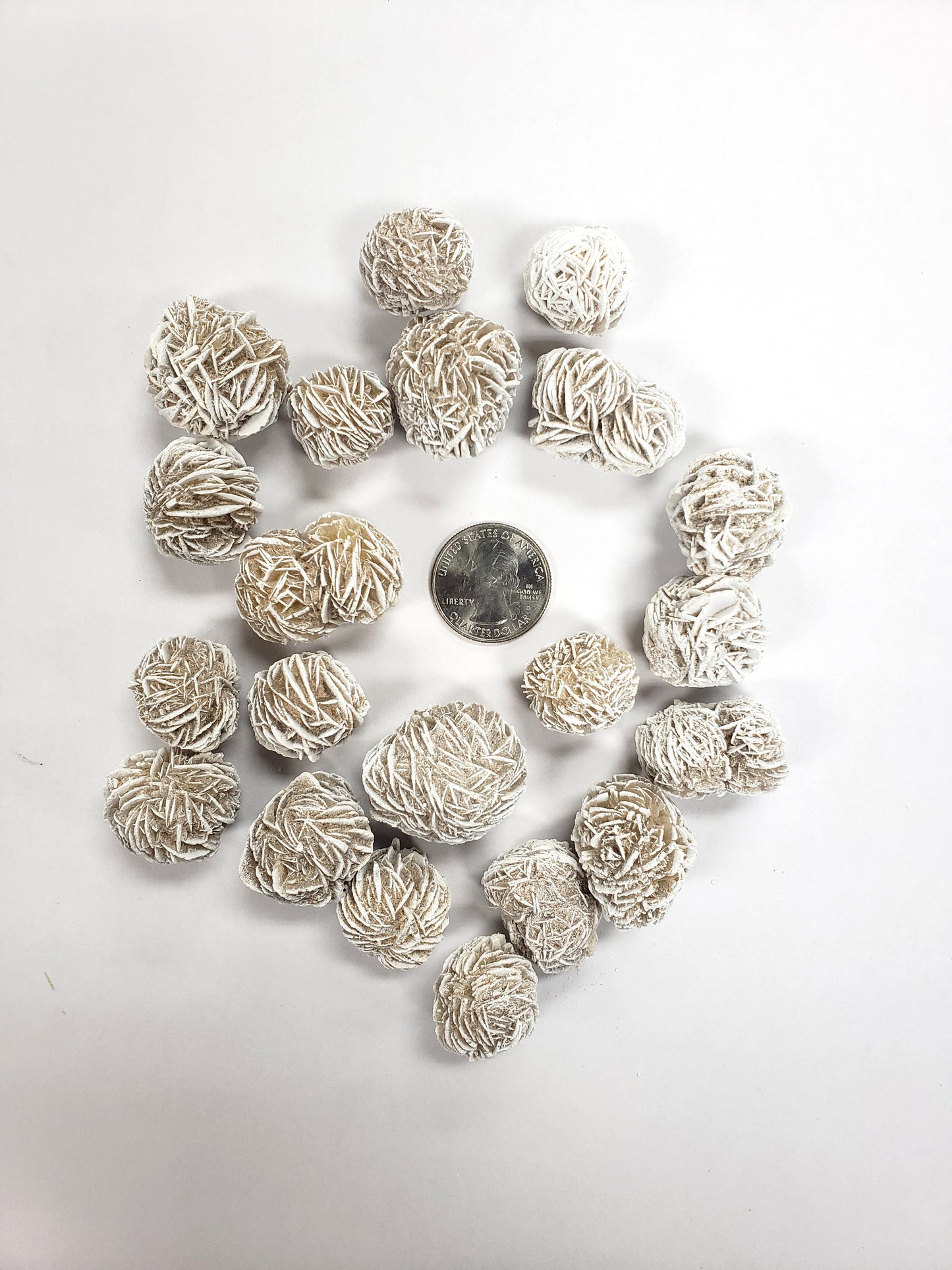 Desert Rose - Selenite Rose Bulk