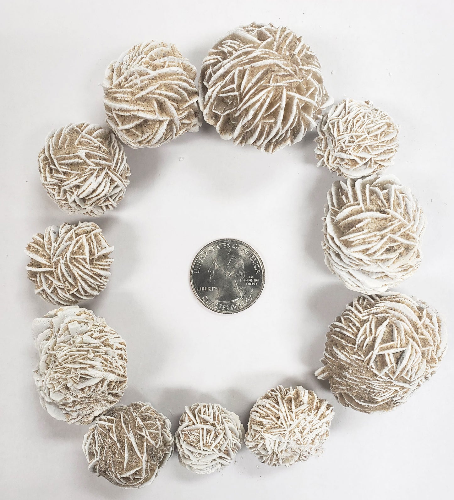 Desert Rose - Selenite Rose Bulk