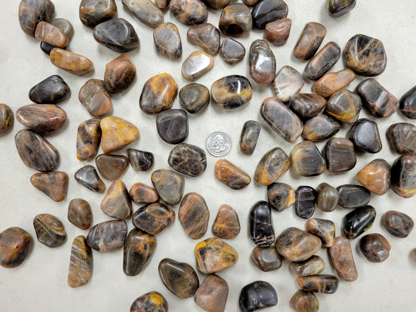 Tumbled Black Moonstone Crystals from India