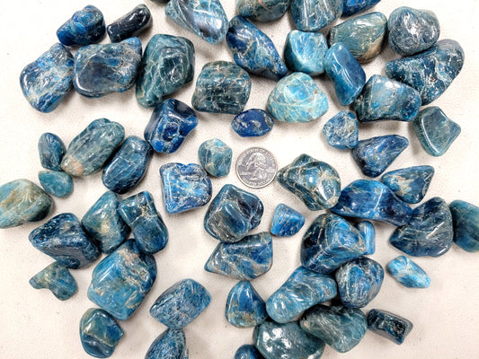 Tumbled Blue Apatite Crystals Bulk from Madagascar