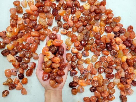 Tumbled Carnelian Crystals - Size SMALL 1/2 inch to 1 inch