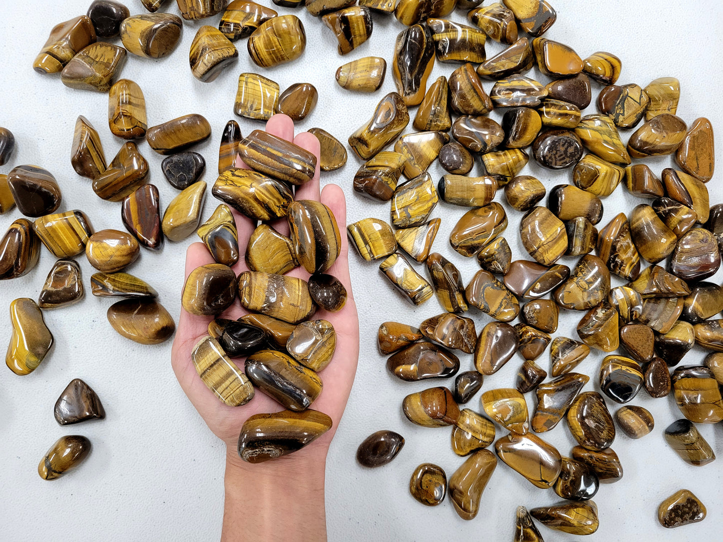 Bulk Tumbled Golden Tiger's Eye Crystal Stones - Size Medium - 1 inch to 2 inches