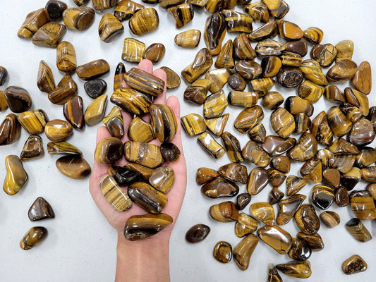 Bulk Tumbled Golden Tiger's Eye Crystal Stones - Size Medium - 1 inch to 2 inches