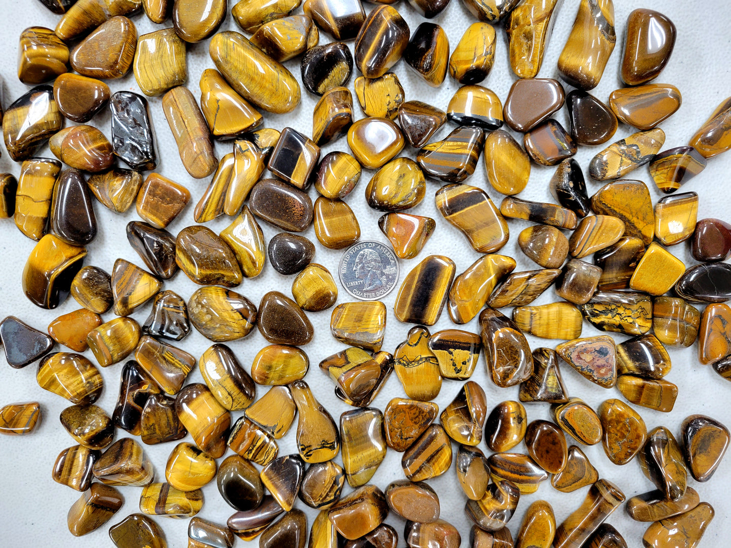 Bulk Tumbled Golden Tiger's Eye Crystals - Size Small 1/2 inch to 1.5 inches