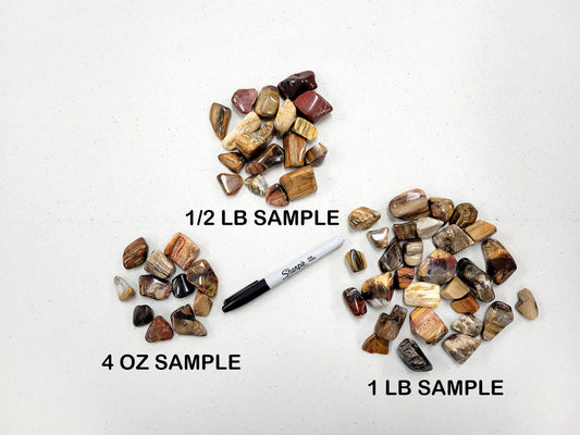 Tumbled Petrified Wood Crystals - Bulk Tumbled Stones
