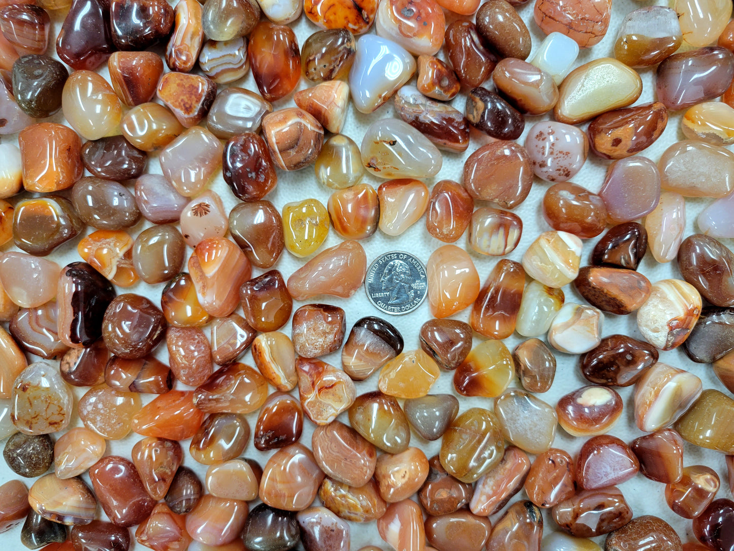 Bulk Tumbled Red Agate Crystals - Size SMALL - 1/2 inch to 1 inch