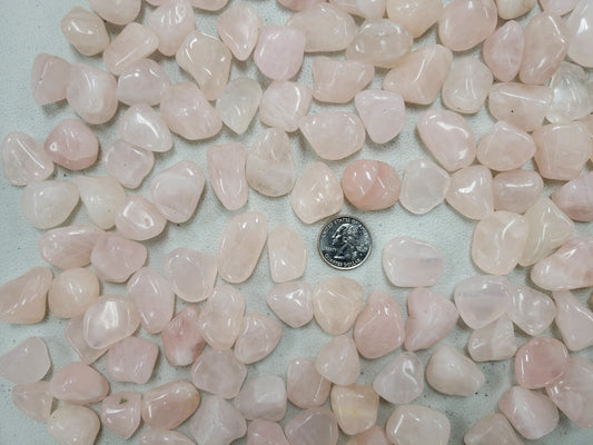 Bulk Tumbled Rose Quartz - Size SMALL - 1/2" to 1"