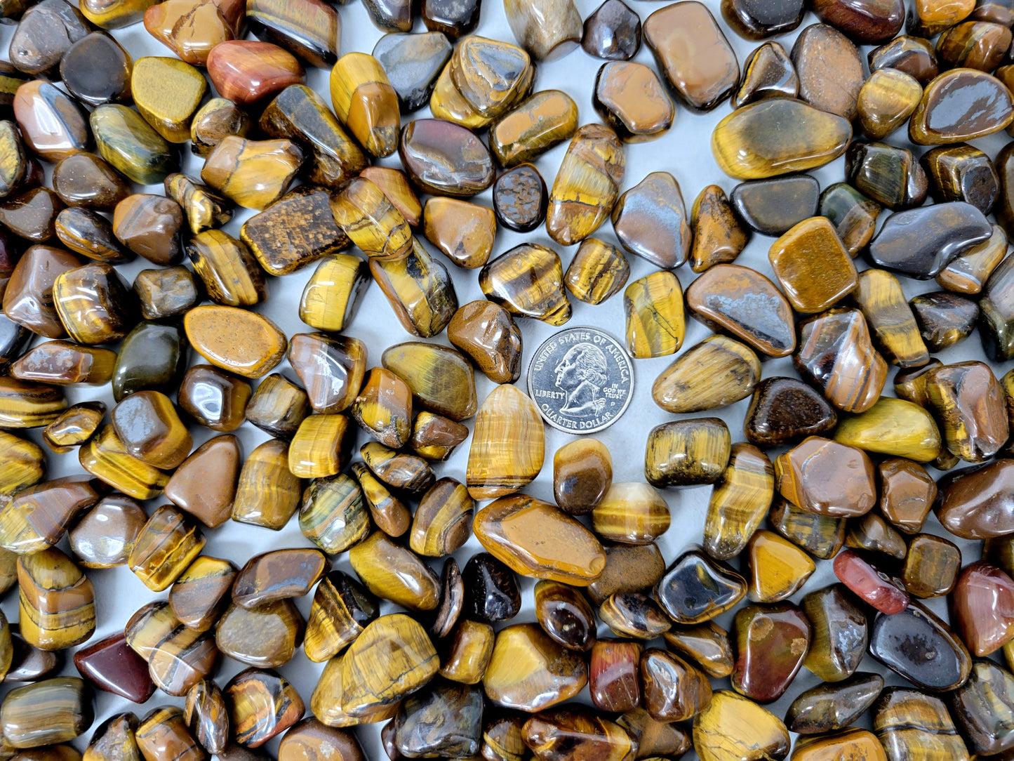 Tiger's Eye Tumbled Stones - Size Small - Bulk Tumbled Crystals