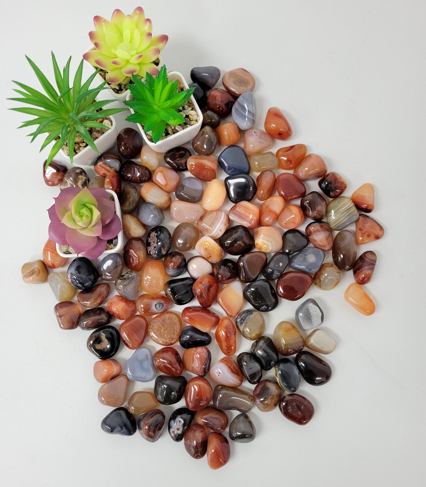 Assorted Tumbled Agate Stones - Bulk Tumbled Crystals