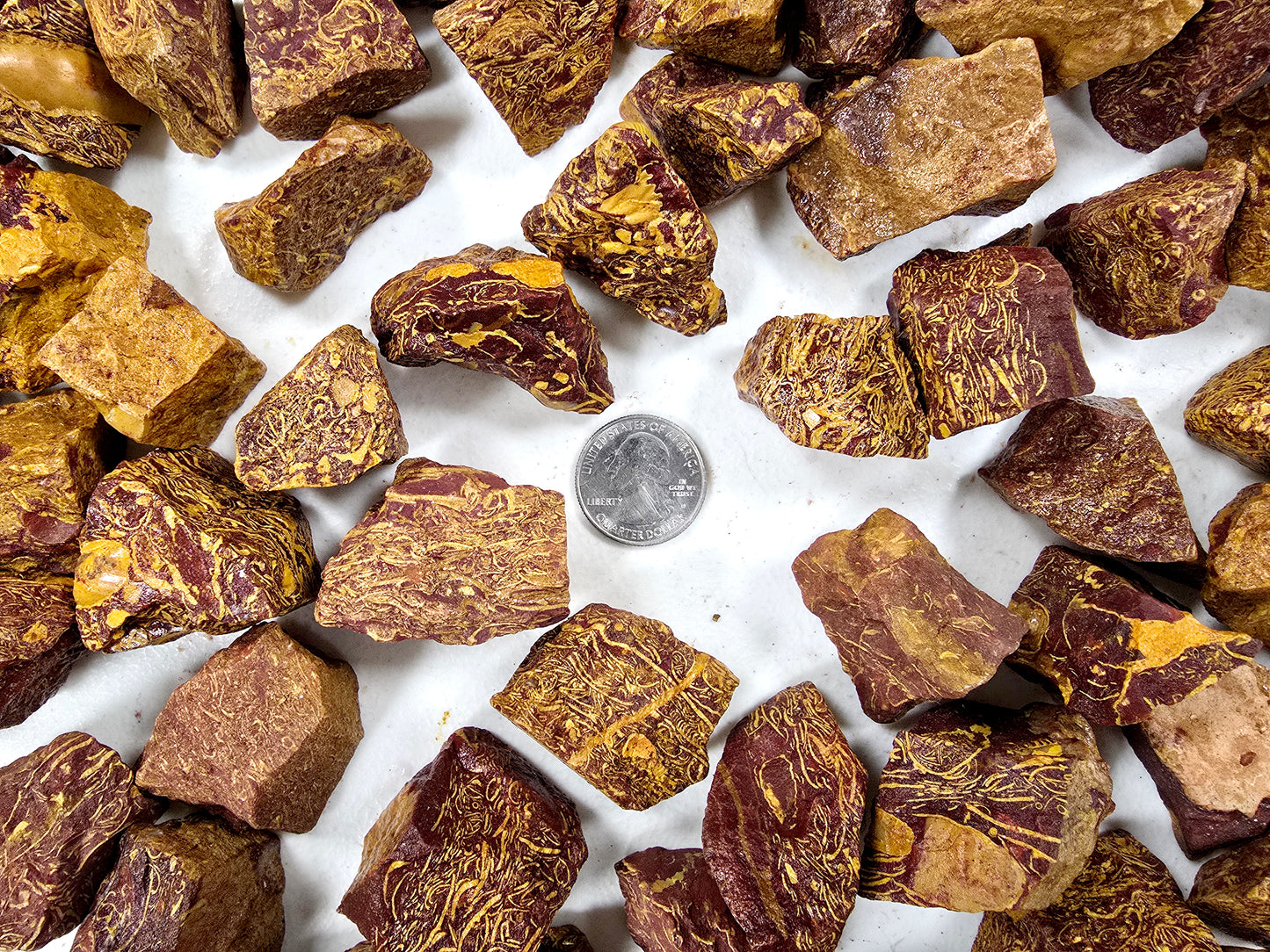 Sea Fossil Jasper AKA Calligraphy Stone Bulk