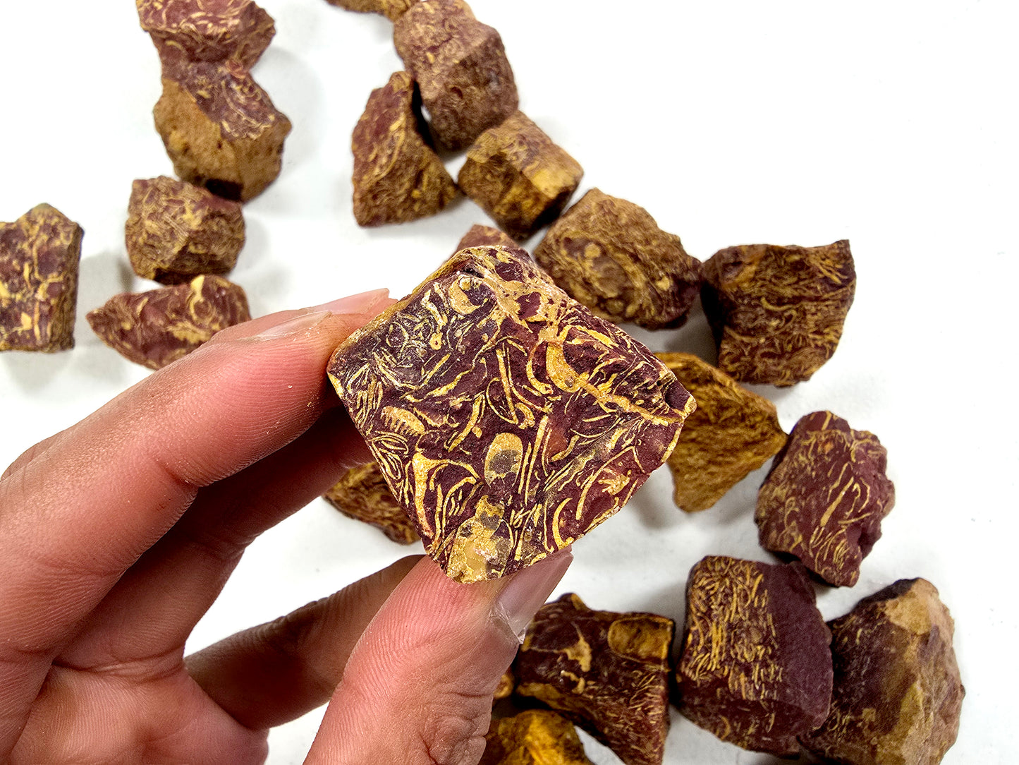 Sea Fossil Jasper AKA Calligraphy Stone Bulk