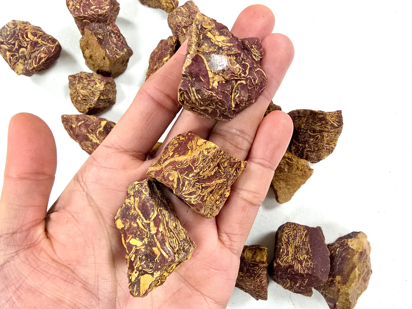 Sea Fossil Jasper AKA Calligraphy Stone Bulk