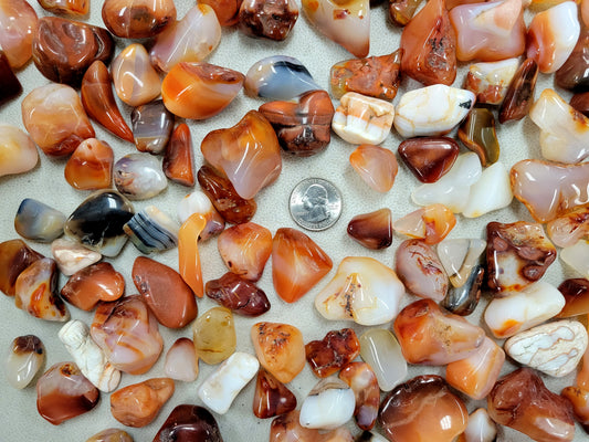 Tumbled Carnelian Crystal Stones from Madagascar