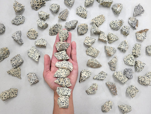 Rough Dalmatian Jasper Stones - Bulk Raw Crystals