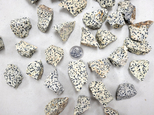 Rough Dalmatian Jasper Stones - Bulk Raw Crystals