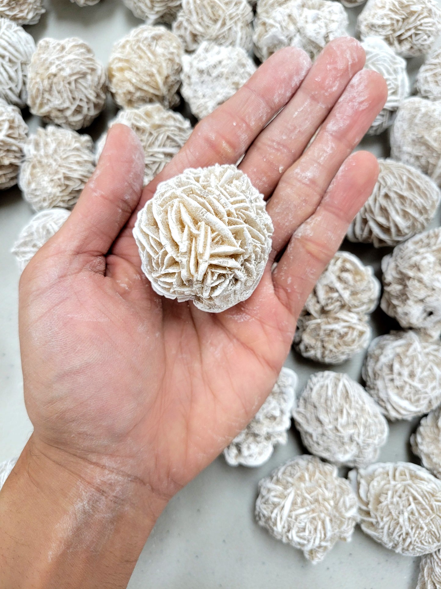 Large Desert Rose Buds