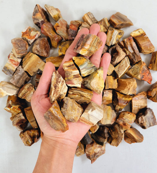 Petrified Wood - Rough Stones Bulk