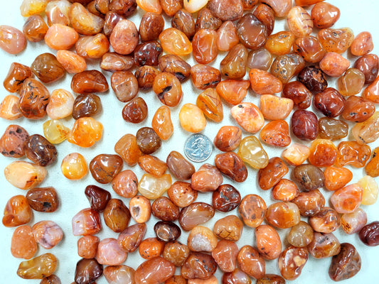 Tumbled Carnelian Crystals - Size SMALL 1/2 inch to 1 inch