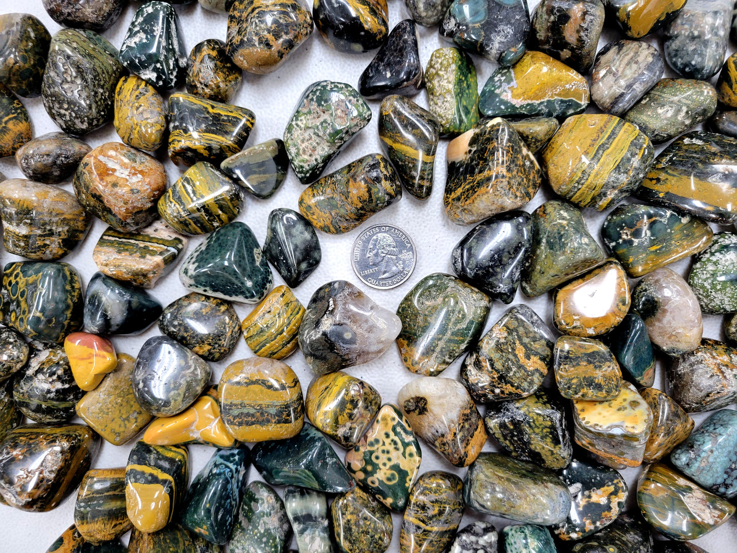 Tumbled Sea Jasper/Orbicular Jasper - Bulk Tumbled Stones