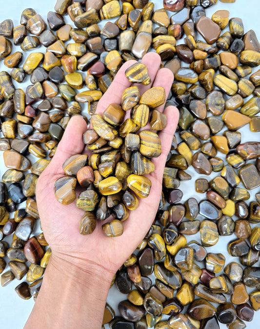 Tiger's Eye Tumbled Stones - Size Small - Bulk Tumbled Crystals